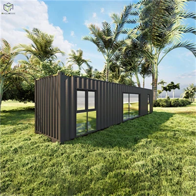 Modulaire Préfabriqué 40 Ft Shipping Container House